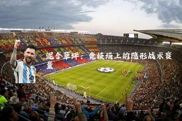 混合草坪：竞技场上的隐形战术变量